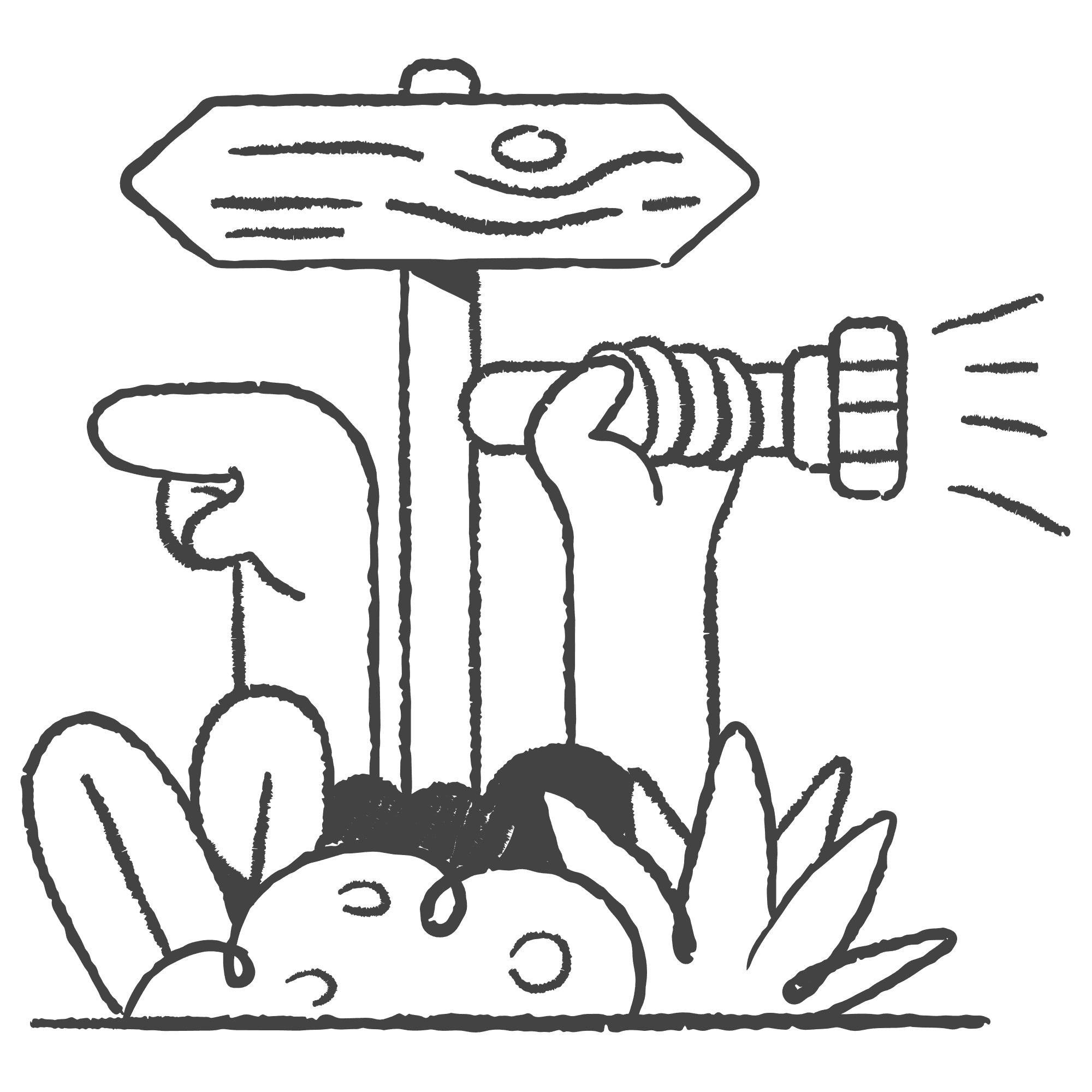 Sign,direction,pointer,flashlight,torch,destination